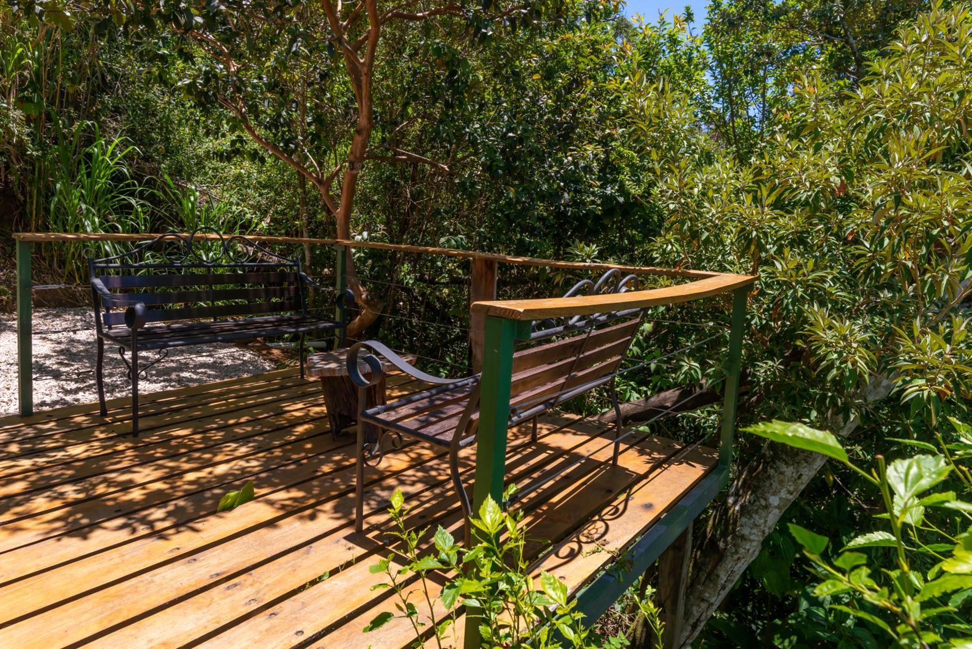 Cabinas Capulin & Farm الجبل الأخضر المظهر الخارجي الصورة
